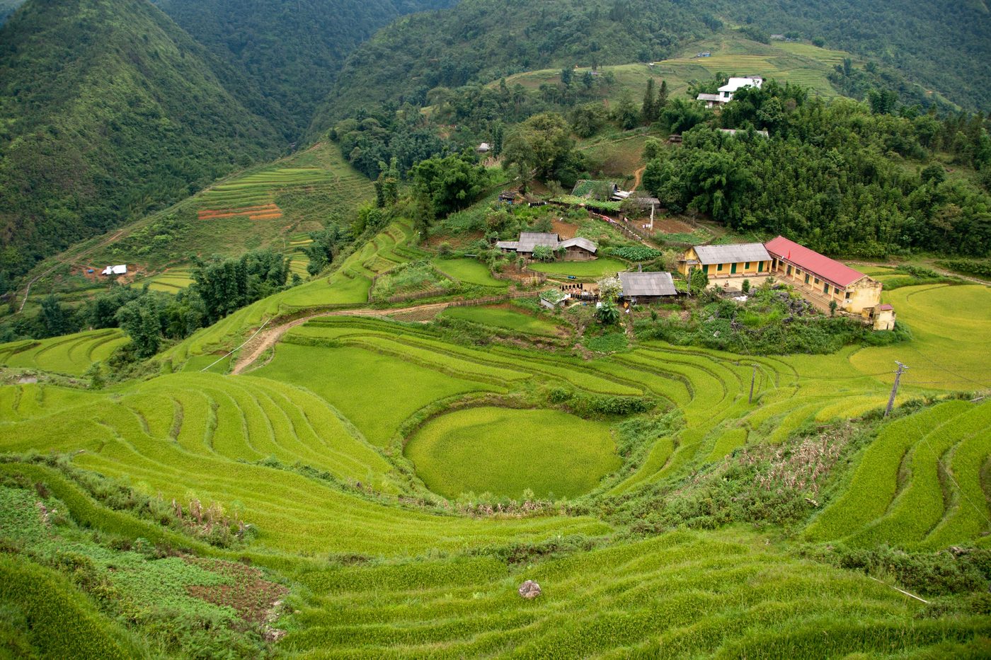 Green rice terraces curving around a village near Sa Pa