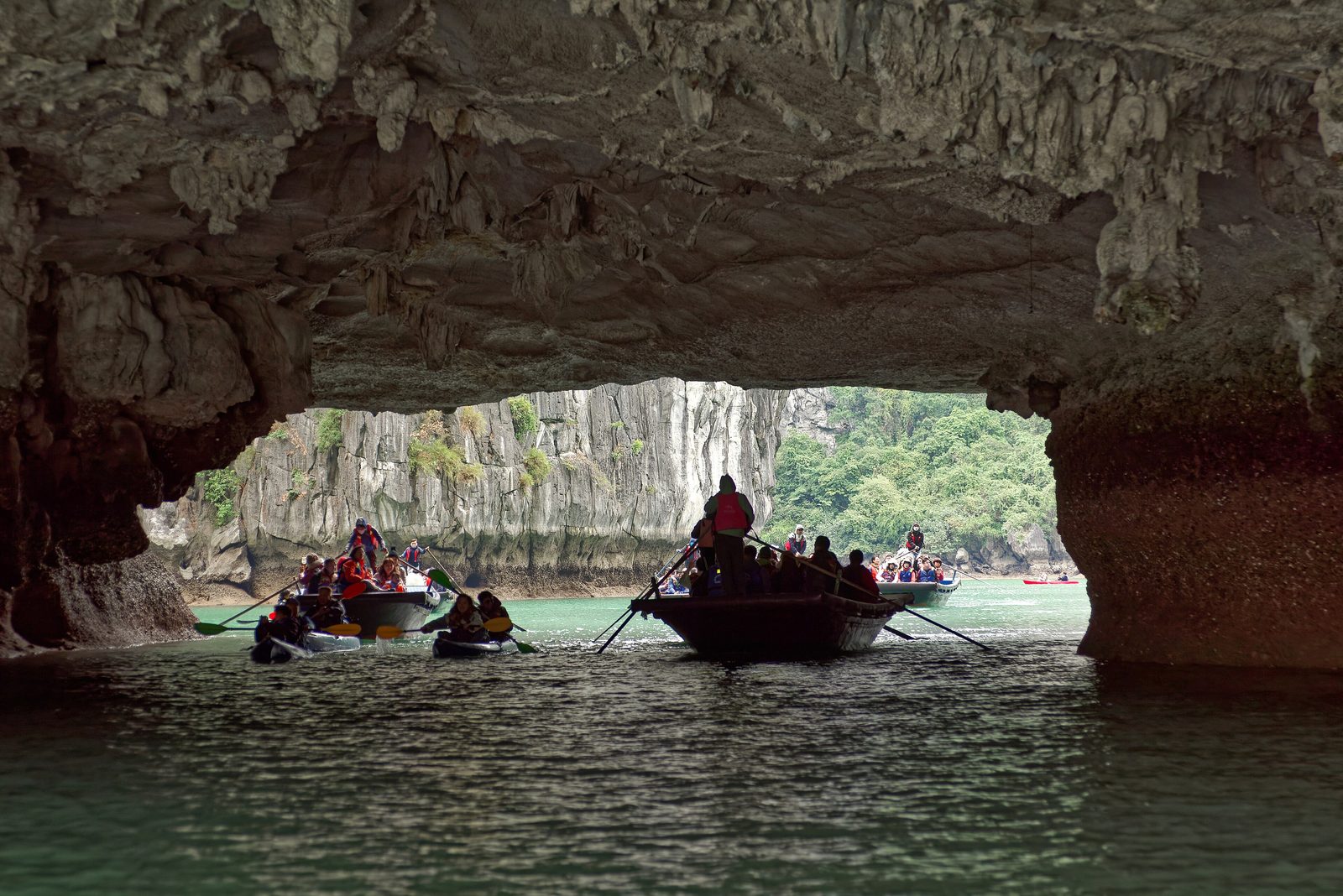 Bamboo boats rowing through the Hang Luồn cave arch