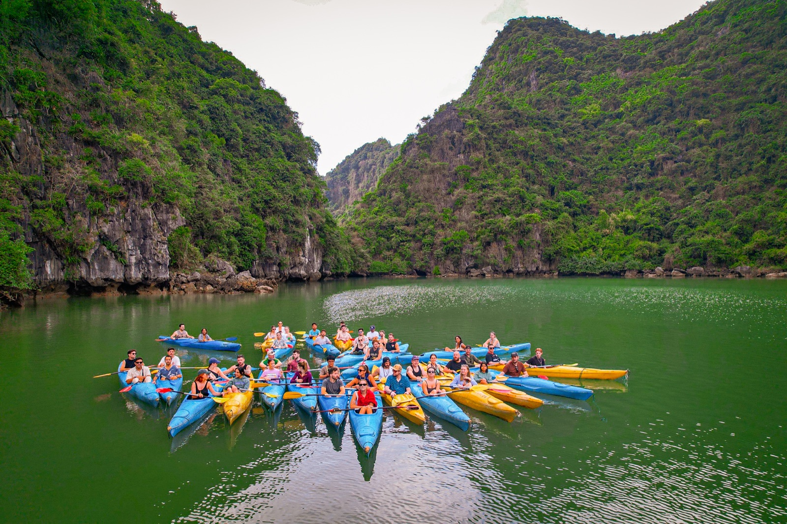 A big group of guests in a star of colourful kayaks in a green lagoon between jungle-covered cliffs
