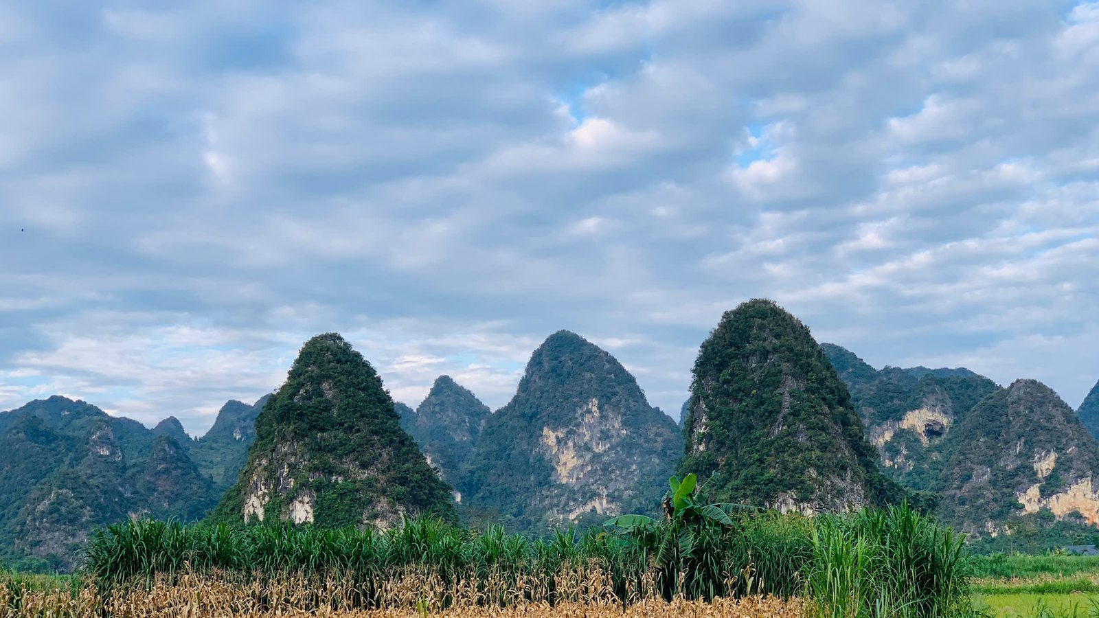 Pointed karst peaks rising behind maize and sugarcane fields under a cloudy sky