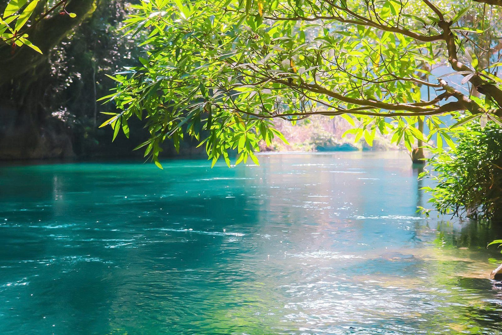 Clear turquoise water of the Lenin stream under sunlit green branches